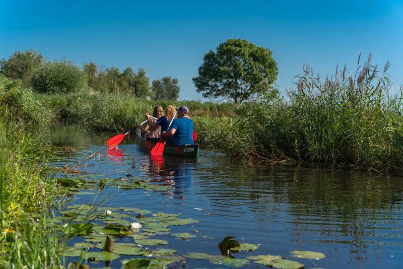 Wetlands Safari, Amsterdam