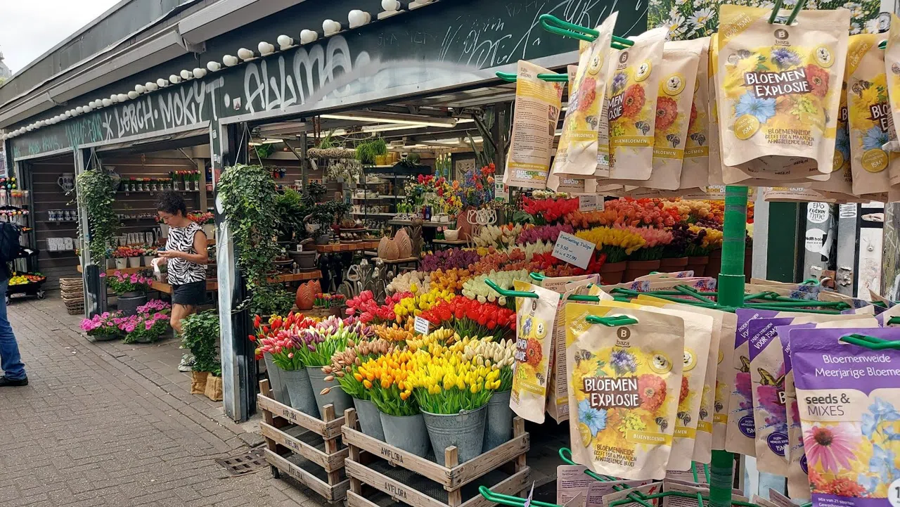 Att köpa tulpanlökar på Amsterdams flytande Bloemenmarkt