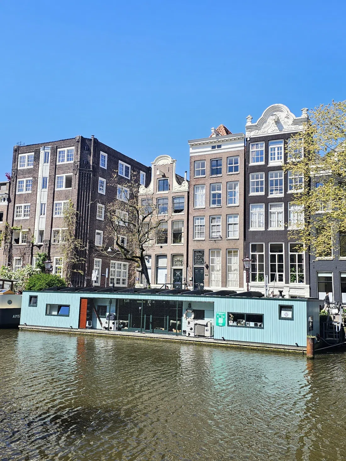 De Poezenboot (Le bateau aux chats), Amsterdam
