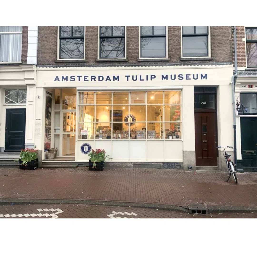 Amsterdam Tulpenmuseum, Amsterdam