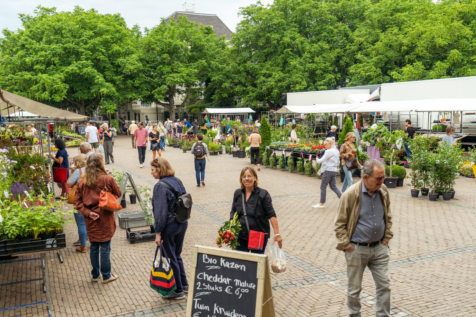 Plantenmarkt Amstelveld, Amsterdam