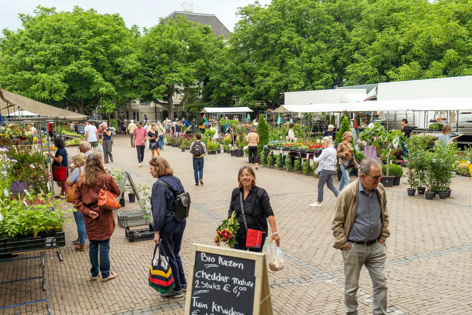 Plantenmarkt Amstelveld, Amsterdam